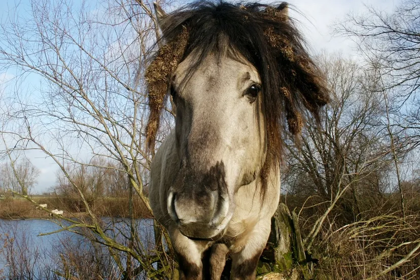 nbkf3pqohfe8we32n9w146ov6 fotodijkmagazijn2014 12 14wandelingewijk