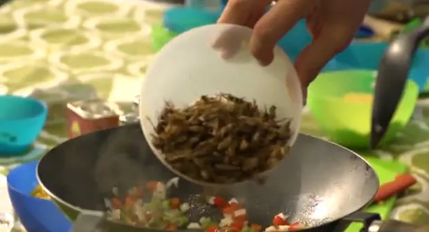 njp23l973vdsqp1ge4djw3409 233143