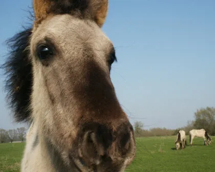 nwv564mxodxhf3cbqrx6bx0gg 129219