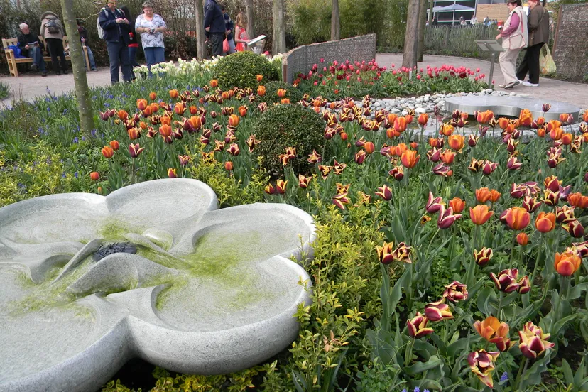 nx14a7q1v9tvfllw4nbit5vi4 pers 1