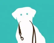 nzx87ynkpwir9yrcqwwhyd7x0 215669