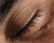 o1yflycjuj3wnewmnepcuo7va 95701