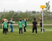 o1zpdmh7u1wi65iwp5ipf8w67 183621