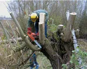 o7wdby4w7n3mlwjugd119yr41 28864