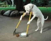 ojemou0isb9r3mos8runqyp74 220433