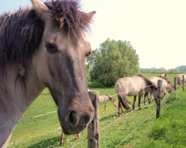 ojtan16yjlv9rd8c0ehaju306 86869