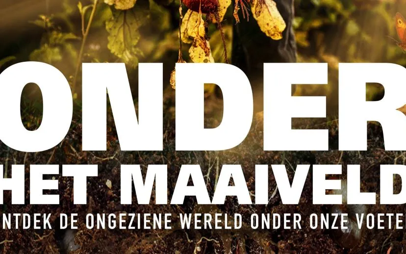 onder het maaiveld