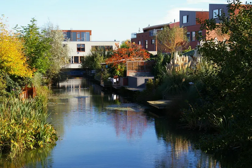 onderhoudswerkzaamheden vijverpartijen