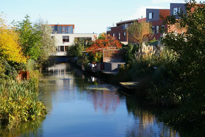 onderhoudswerkzaamheden vijverpartijen