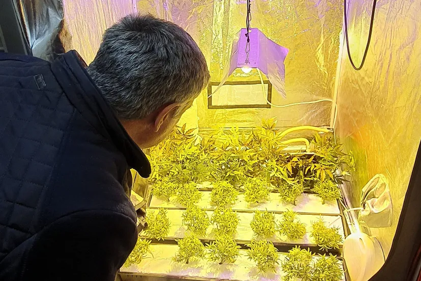 ondermijningsavond raadsleden gemeenten tweestromenland 2 e1583873835452