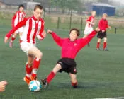 p3be8o259qyydlm95lummi0j9 56514