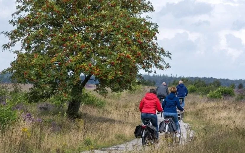 people 4554681 640 915x518