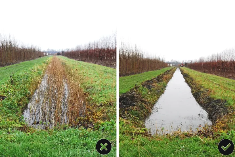 persbericht 2016 foto