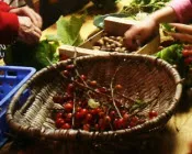 pipmsaopcfc3uz8sxidz6jf40 102560