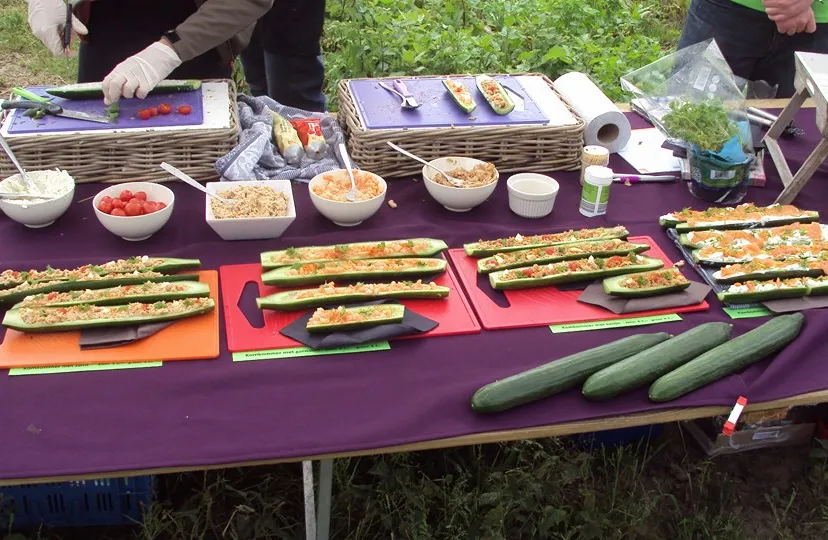 popupterras beuningen