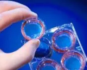 pz2gd1y1d3ntm1y2qvib77lks 213772