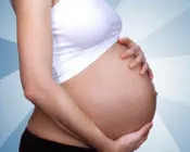 q06flox77vr2b82ohqouhf3rf 233225