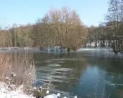 qa1wbzpo2xte3lmjdxykjt7q1 226239