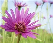 qbe93e1h9bx9uctcoen3z1fl7 68269