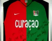 qppzfr4zv0ky6utt5nqymnnz6 81395