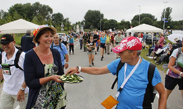 rk5m8l6l7i5jr66zgnogmzkmd hedy willems