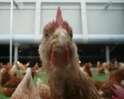 rkhv37lslbudb2q6xpt8gfy2s 218509