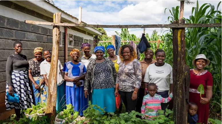 root tubers cosdep impact direct