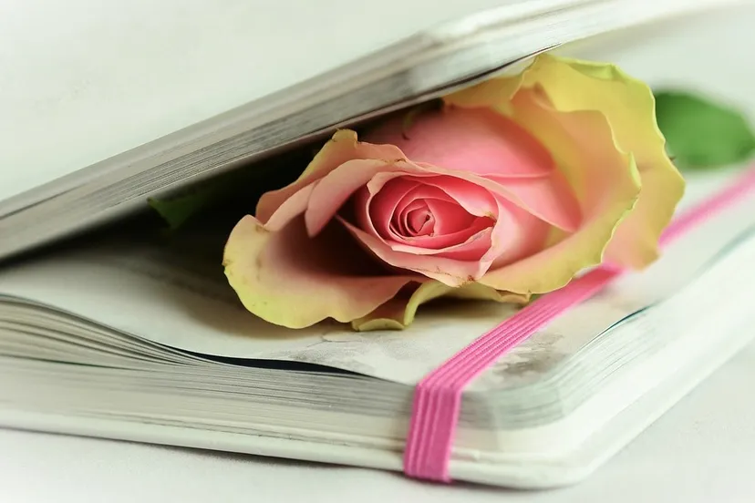 rose 764267 1280 e1432845996338