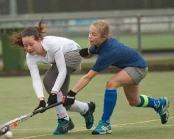 rsxrmeojfwijwz8ht7evpczs6 217333