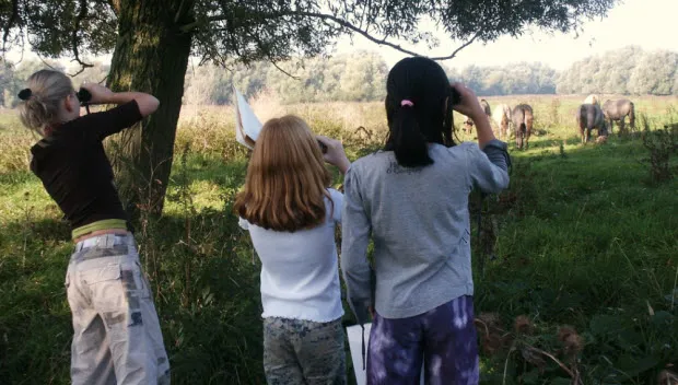 rtbke0ac1c0t02s13nnfwlndz 231812