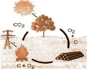 s4kta9kffcgysv6p7hfqbkujt 28114