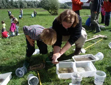 s63ygpy93eritlkto9by0bhqa 168127