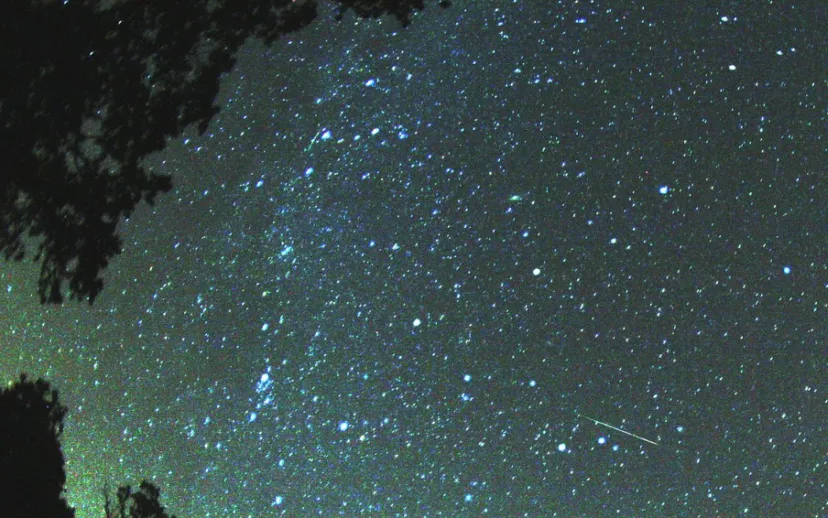 screenshot 20200811 112911 915x518