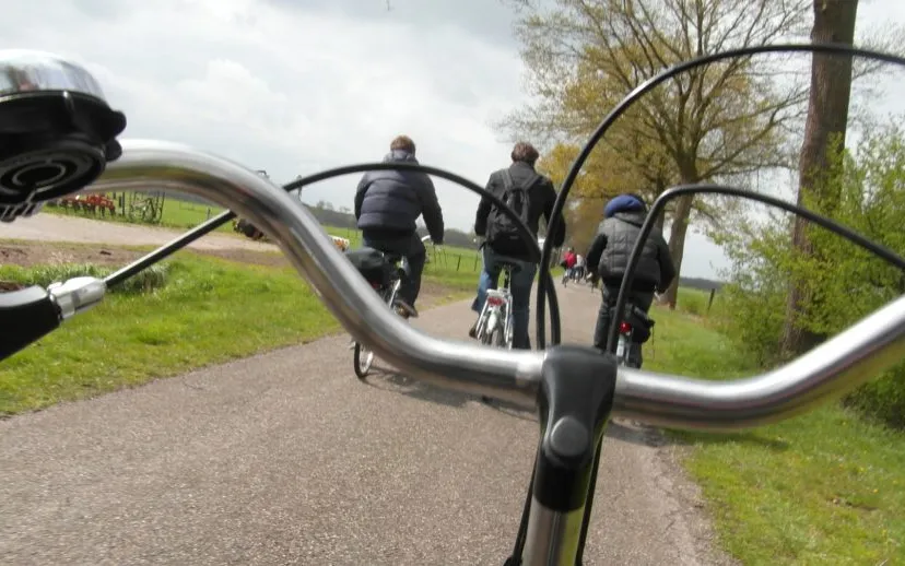 sifra pexels 915x518