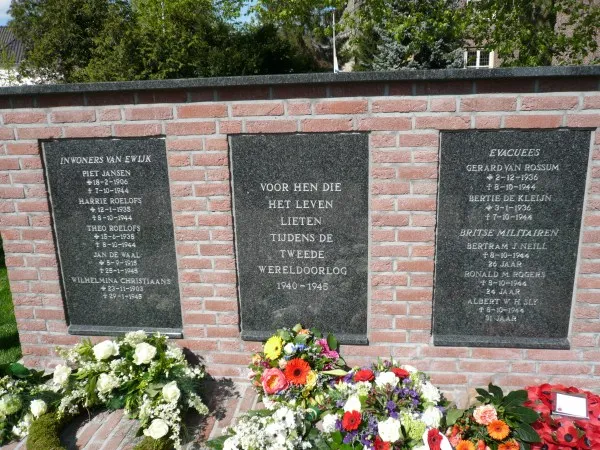 skyvabum0ly01l6pi41grfmfn 231955