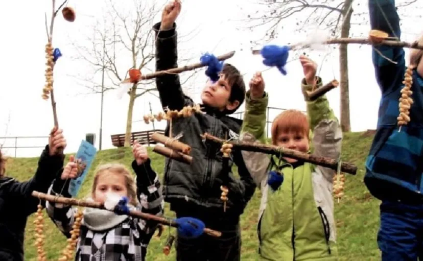 smulketting voor vogels 896x511