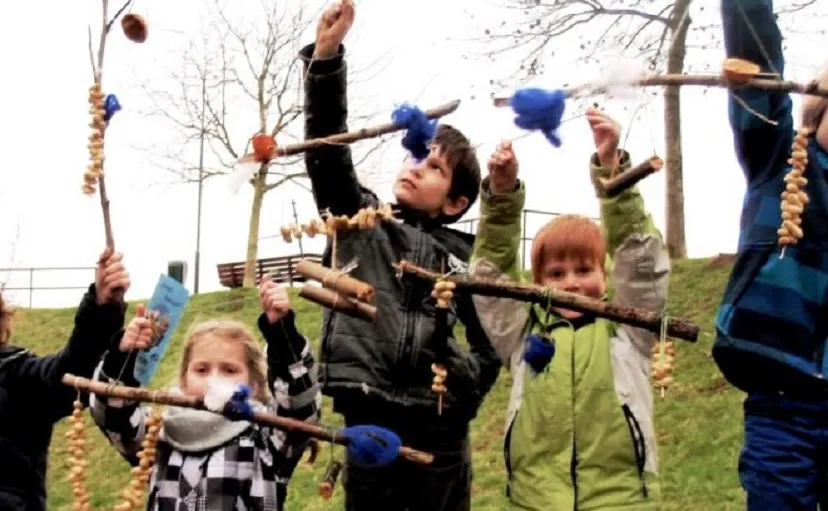 smulketting voor vogels 896x511