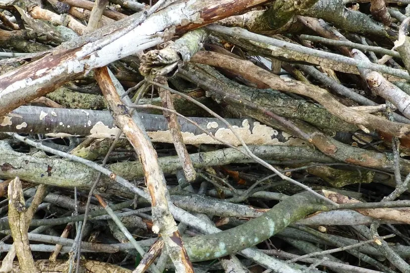 snoeiafval e1445903210654