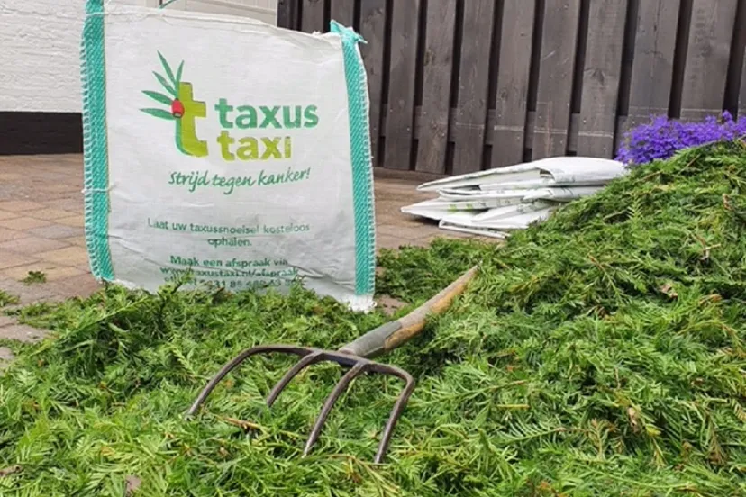 snoeisel met tas taxus taxi