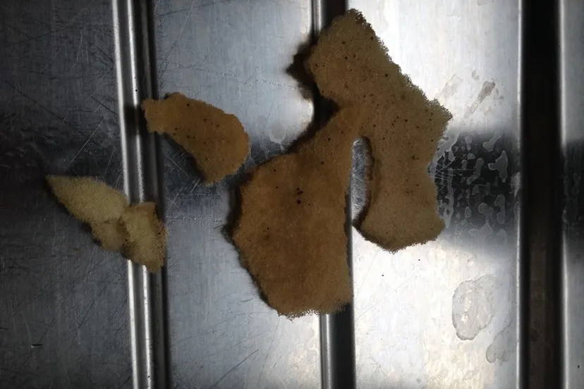 spons blessinglaan ewijk e1460752743133