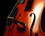 sqa47bb2np0mucxc9pmn57eds 154904