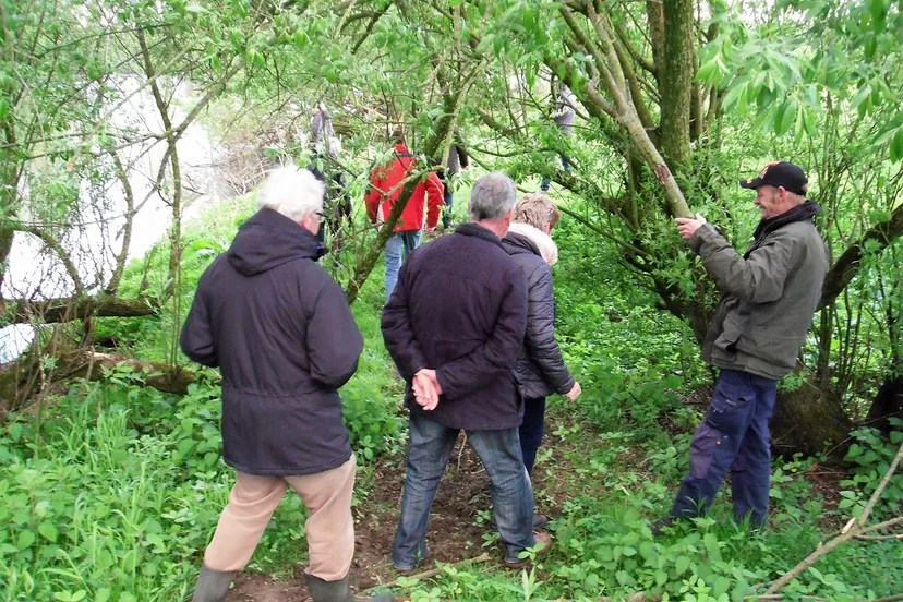 struintocht beuningse uiterwaarden