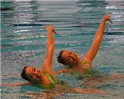 t59ad956pch6cdv2ckorj2fkx 43893