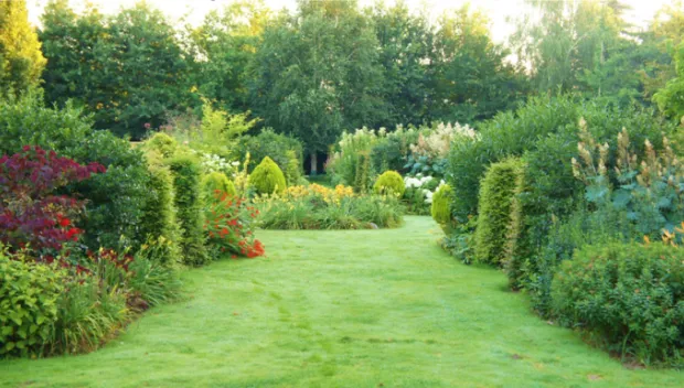 t8kfj5cu8o5qstuo2m0h5olzt aldeconinckshof