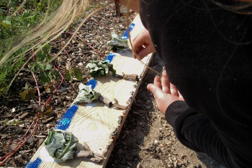 ta9qhtl0shcqvvb2ba59it4k9 fotodijkmagazijn2014 09 17waalindrukken