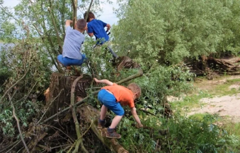 takkenweek aan het waalstrand