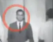 tamiohgmlq5sbk08pffredcwu 207285