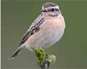 tephqzebv9u7o3xsyv23hht85 28725