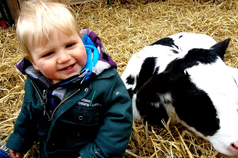 testpromo4 e1431260513262