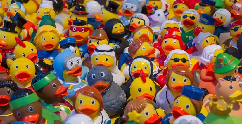 toy ducks 535335 960 720